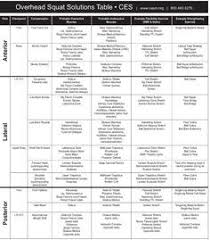 Nasm Muscle Imbalance Chart Yahoo Image Search Results