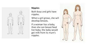 The diaphragm forms the upper surface of the abdomen. 2 1 1 My Body Names Of Parts Of The Body And Their Functions Ppt Download