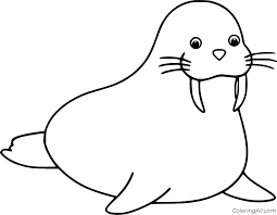 We did not find results for: Walrus Coloring Pages Coloringall
