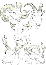 How To Draw People Cartoon And Realistic Drawing On Demand Cartoon Drawings Animal Drawings Animal Sketches