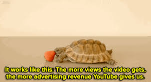 We did not find results for: Tortuga Turtle Tortue Ninja Gif On Gifer By Laidar
