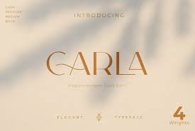 Although we have the largest database of fonts, the search for a font from an image gets mixed results like the image above. Carla Sans Desktop Font Webfont759 Youworkforthem In 2020 Typeface Stylish Text Elegant Font