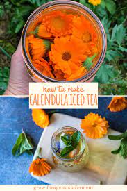 Calendula Iced Tea Botanical Refreshing Recipe Herbal Infusion Natural Drink Recipes Herbal Drink Recipe