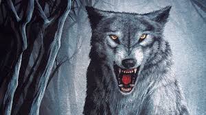 Download top free images for pc and mobile: Wolf Wallpapers 1920x1080 Wallpaper Cave