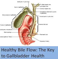 Healthy Bile Flow Is A Requirement For Your Body To Work Efficiently And Without Proper Bile Flow You Will Have High Liver Enzymes Gallbladder Kidney Cleanse