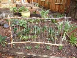 Bamboo trellis bamboo fence garden trellis bamboo fencing ideas bamboo roof trellis panels diy trellis japanese bamboo japanese fence. Pin By Karla Davidson On My Garden Projects Diy Garden Trellis Vegetable Garden Trellis Pea Trellis