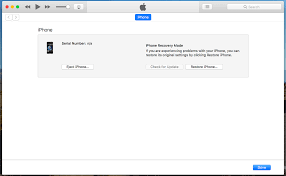 I know her sim card is already active because it was working in the 3gs. How To Activate An Iphone 2g Without A Sim Card