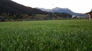 We did not find results for: Bist Du Auf Der Suche Nach Einer Neuen Herausforderung Wir Suchen Dich Post Crossiety