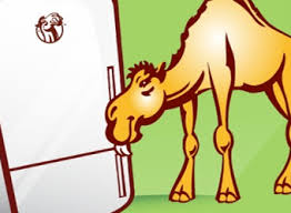 Unfortunately, it was impossible to stay there forever. Thirsty Camel Seeks Head Humper To Head Its Hump Club Loyalty Program Marketing Magazine