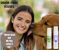 I washed some blankets, slicky tubes, and muzzles with hot water, dish  soap, and carpet shampoo. No stains and no lanolin smell!