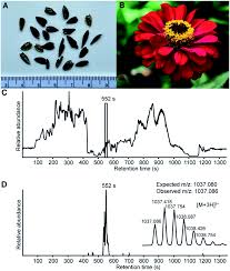 Bioethics are concerned with the ethical questions that arise in the relationships among life sciences, biotechnology, medicine and medical ethics, politics, law, theology and phi A Chameleonic Macrocyclic Peptide With Drug Delivery Applications Chemical Science Rsc Publishing Doi 10 1039 D1sc00692d