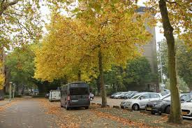 Jump to navigation jump to nederlands: Wohnmobilstellplatz Zwolle Overijssel Niederlande