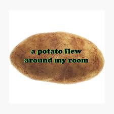 Funny video memes stupid funny memes funny relatable memes funny posts the funny 9gag funny funny quotes original a potato flew around the room before you came vine sticker by rose soma. A Potato Flew Around My Room Greeting Card By Sara Lillian Redbubble