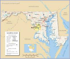 Image result for Dewildemania