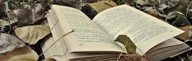 Cu cât simptomele apar mai rapid, cu atât intoxicaţia este mai gravă. Cum SÄƒ Scrii Corect Un Verset Frumos Cum SÄƒ InveÈ›i SÄƒ Scrii Poezie Sfaturi Pentru IncepÄƒtori