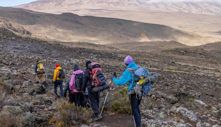 6 days Marangu route Kilimanjaro climbing 2026