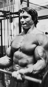 .of bodybuilders hd wallpapers with different bodybuilders hd backgrounds images for your windows, tablet, and phone.on this page, you can find the most beautiful wallpapers and backgrounds. Arnold Schwarzenegger Bodybuilding Iphone Wallpapers Top Free Arnold Schwarzenegger Bodybuilding Iphone Backgrounds Wallpaperaccess