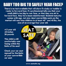 Educational Graphics Rear Facing Car Seat Carseat Safety Child Passenger Safety