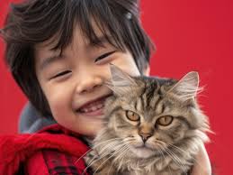 Should I get pet insurance?