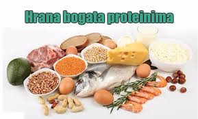 Sta Su Proteini I Koja Je Njihova Osnovna Uloga U Organizmu Proteini Odnosno Belancevine Su Prevashodno Gradivn High Protein Recipes Protein Foods Nutrition