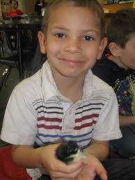 Sparta Area School District Blog: April 2014