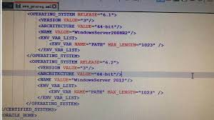 Windows Server 2012 R2 Oracle 11g Installation Problems Develop Paper