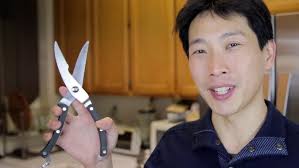 AMA: Yes, these kitchen shears are really worth the money.