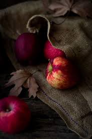 Comfort Spring Station Fall Apples Apple Fruit