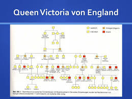 Hier finden sie den stammbaum der britischen königsfamilie. Konigin Victoria Von England Stammbaum Bildergebnis Fur Queen Victoria Family Tree Geschichte Konnte Im Jahr 1952 Nur Den Thron Besteigen Weil Ihr Vater Konig George Vi