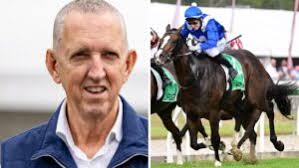 Tegan Harrison chases feature race win as she returns to saddle