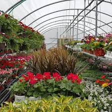 Cub foods' commitment to their customers is showcased by the premium quality of their products and their affordable prices. The Mom And Pop Garden Center Going The Extra Mile For Customers Bring Me The News