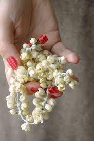 The jasmine plant is known for its beauty. Jasmine Flowers Braided For Hair Adornment Flowers In Hair Flower Arrangements Simple Smelling Flowers
