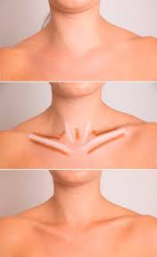 It is often used in medical terms. Contorno De Colo Steal The Look