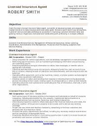 Our insurance executive recruiters can help your organization attract new talent. Licensed Insurance Agent Resume Sample Sales Executive Representative Hudsonradc