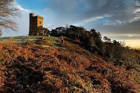 Surry hills is an inner city, suburb of sydney, in the state of new south wales, australia. Leith Hill Tower Surrey Hills