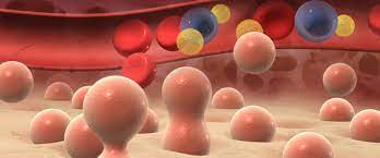 It often is not detected until the cancer moves into the pelvis and abdomen. Overview Immunometabolism And Cancer Immunology Laboratory Mayo Clinic Research