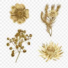 Download Premium Png Of Blooming Gold Flower Illustration Set 2368051 Flower Illustration Gold Flowers Illustration