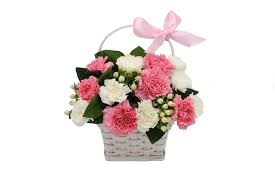 Who should i send flowers to? Sweet Carnation Basket Whispers Honey Same Day Flower Delivery Las Vegas Henderson Nv