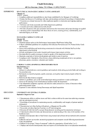 Cardiac Cath Lab Resume Samples Velvet Jobs