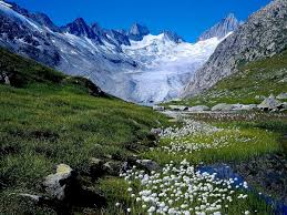 Ontdek afbeeldingen en video's over zwitserland vanuit de hele wereld op we heart it. Achtergrond Bergen Natuur Zwitserland Gratis Top Achtergronden