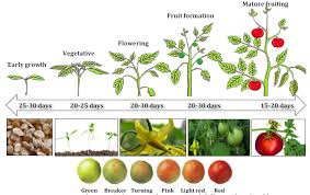 Check spelling or type a new query. Http Archive Sciendo Com Intag Intag 2018 32 Issue 2 Intag 2017 0005 Intag 2017 0005 Pdf