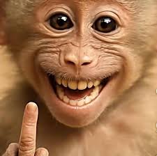 ADD "DARTH" TO THE LAST THING YOU CONSUMED. THAT'S YOUR SITH NAME.