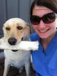 Loss of a Beloved Pet Dog to Cancer