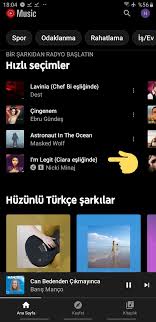 Hüzünlü olümu hatırlatan ilahi mp3indır : Hasan Dursun Ilahileri Mp3 Indir