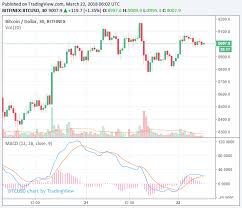 Why is crypto down today? Cryptocurrency Market Remains Stable At 350 Billion Bitcoin At 9 000