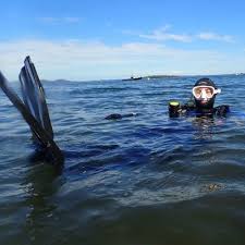 Kate bingham is an investment fund manager and the wife of a conservative minister. Mare People And The Sea X Full Schedule