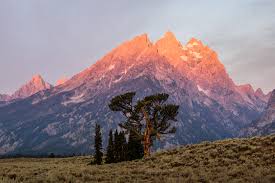 We did not find results for: What Is Landscape Photography Landscape Photography Definition