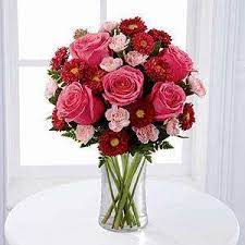 Maybe you would like to learn more about one of these? Flowers By Steve Inc 14 Cross Rd Haverhill Ma 01835 Usa