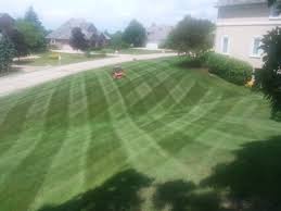 Martinez landscaping offers complete landscape maintenance programs to our valued customers for all types of landscaped areas. Ramon Martinez Landscaping Home Facebook