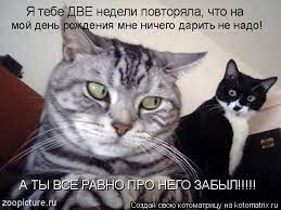 О ЗАБЫЛ!!!!! Я тебе ДВЕ недели повторяла, что на мой день рождения мне  ничего дарить не надо! А ТЫ / котоматрица / смешные картинки и другие  приколы: комиксы, гиф анимация, видео, лучший